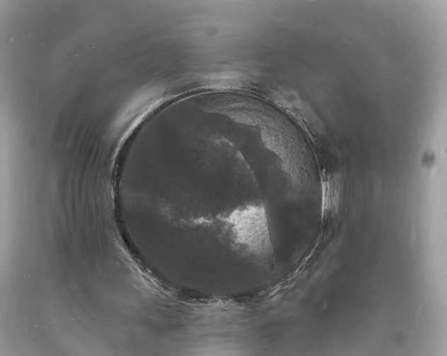 X0000093720243200710231137