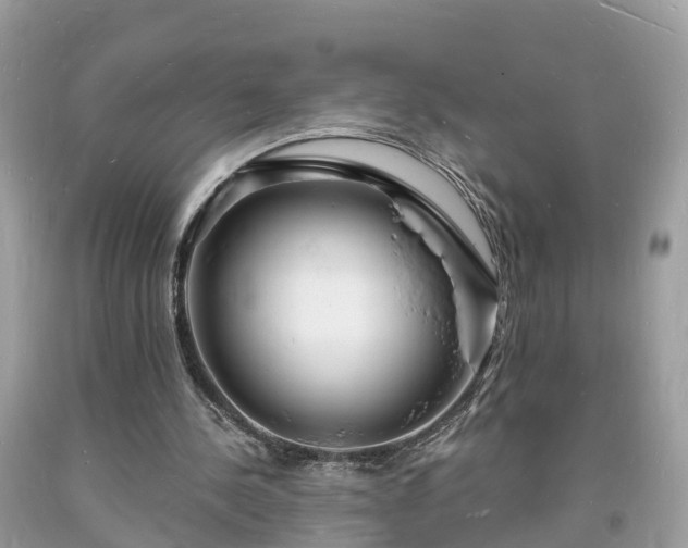 X0000093720244200710231137