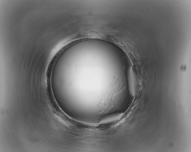 X0000093720246200710231137