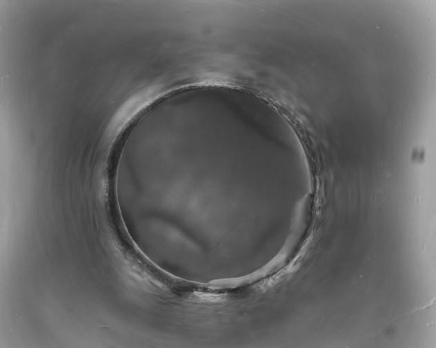 X0000093720247200710231137