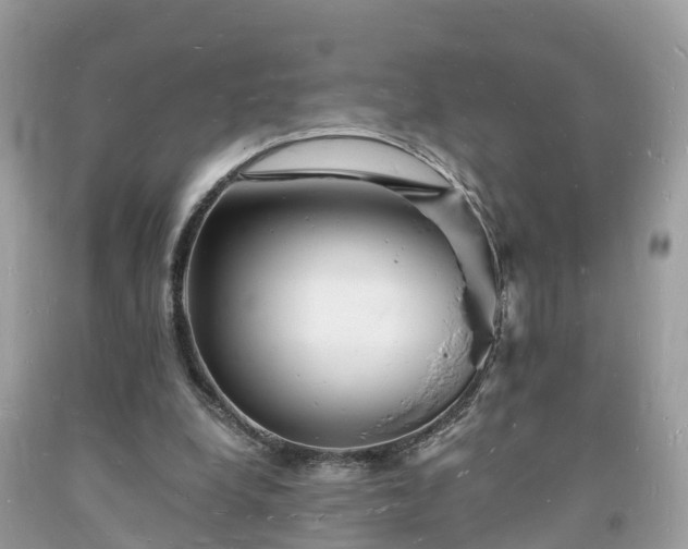 X0000093720248200710231137