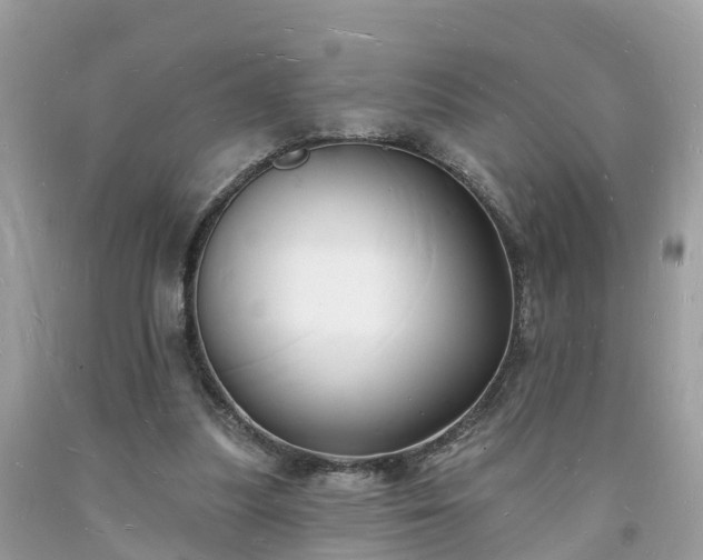 X0000093720251200710231137