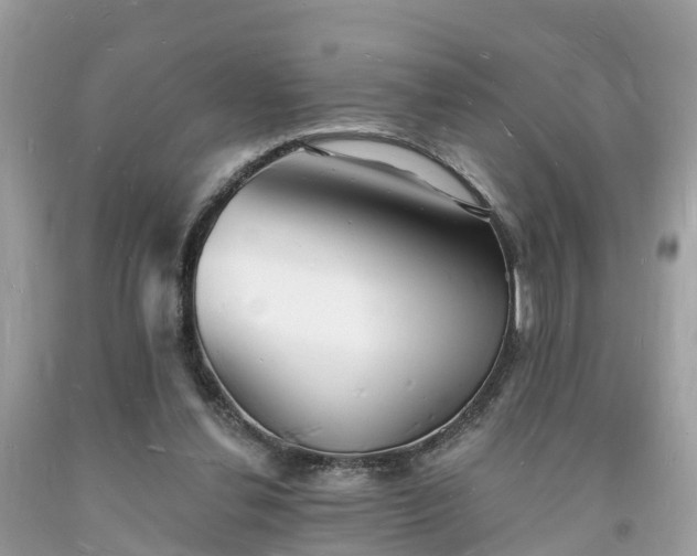 X0000093720252200710231137