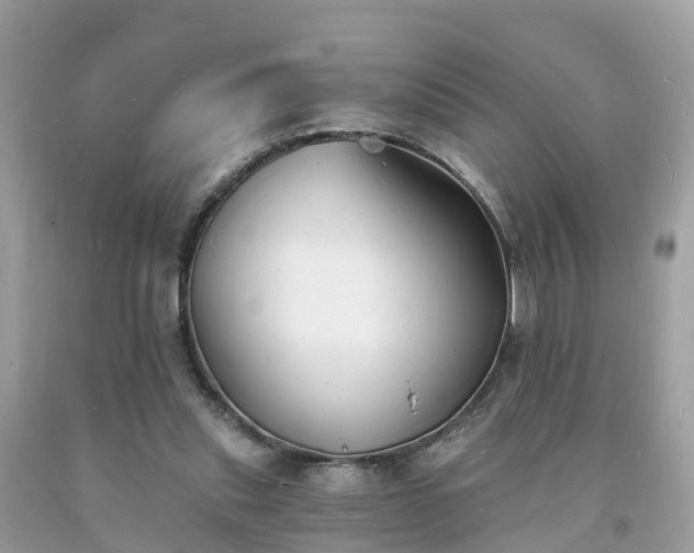 X0000093720253200710231137