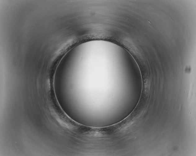 X0000093720254200710231137