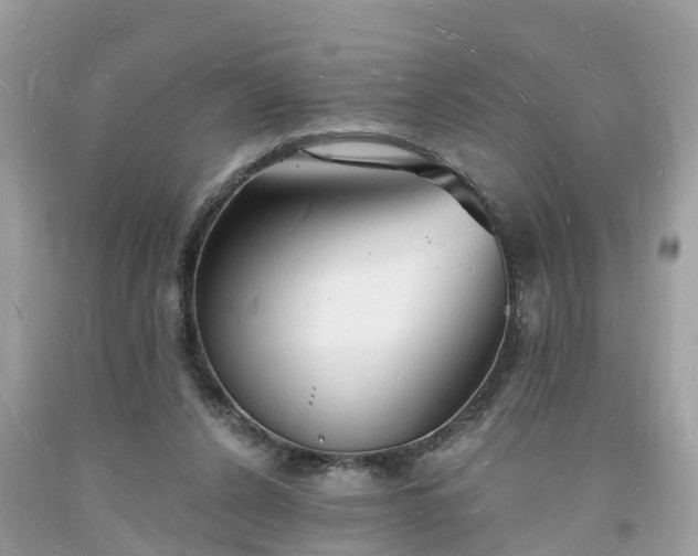 X0000093720256200710231137