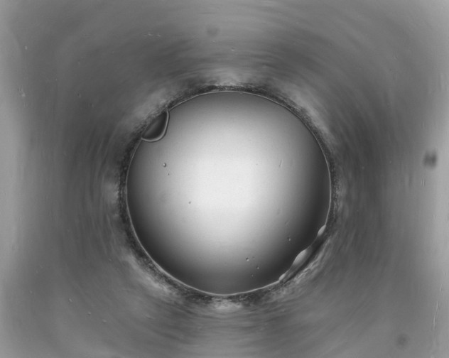 X0000093720257200710231137