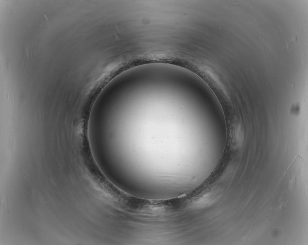 X0000093720260200710231137