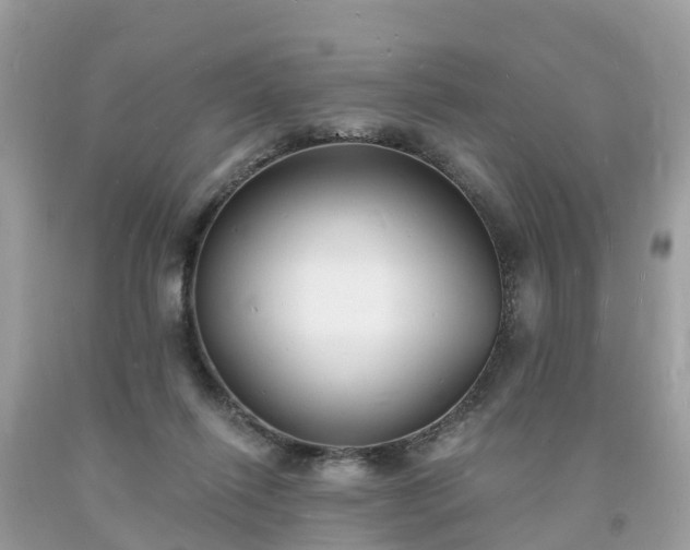 X0000093720262200710231137
