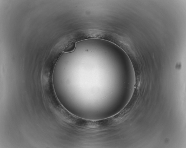 X0000093720263200710231137