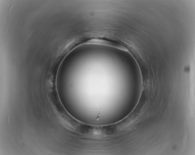 X0000093720264200710231137