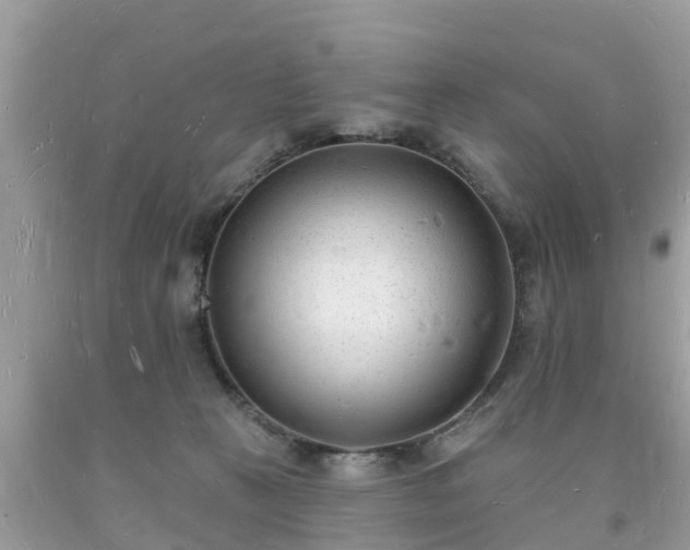X0000093720273200710231138