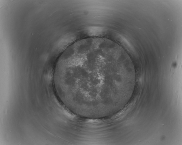 X0000093720277200710231138