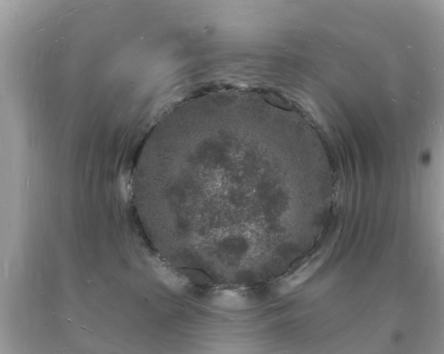 X0000093720285200710231138