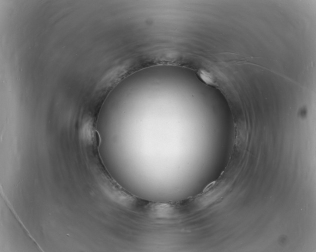 X0000093720287200710231138
