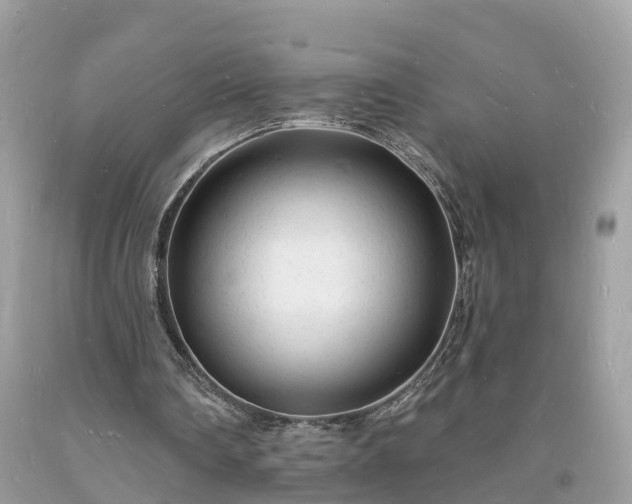 X0000093720290200710231137