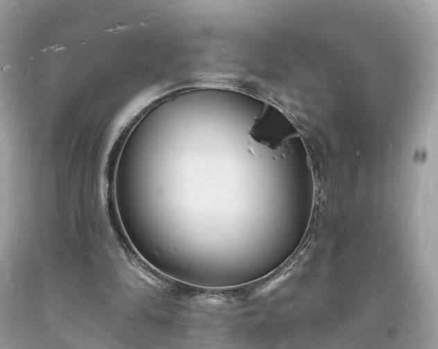 X0000093720294200710231137