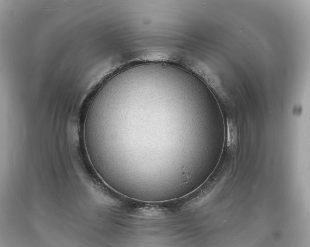 X0000093720300200710231137