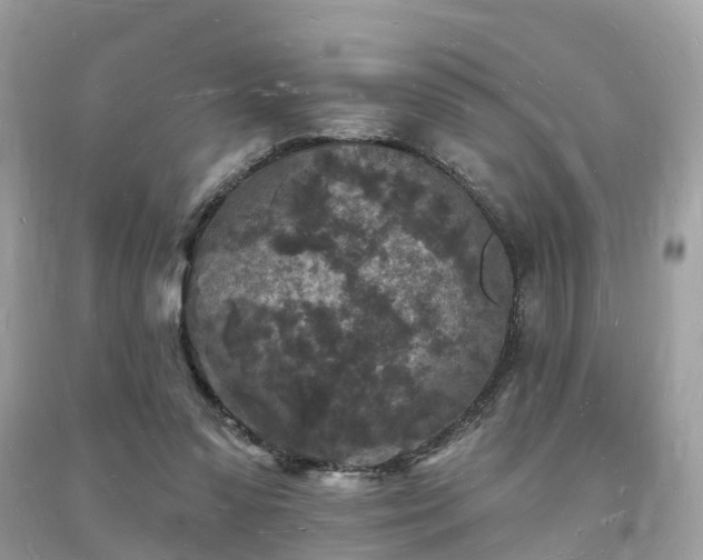 X0000093720303200710231137