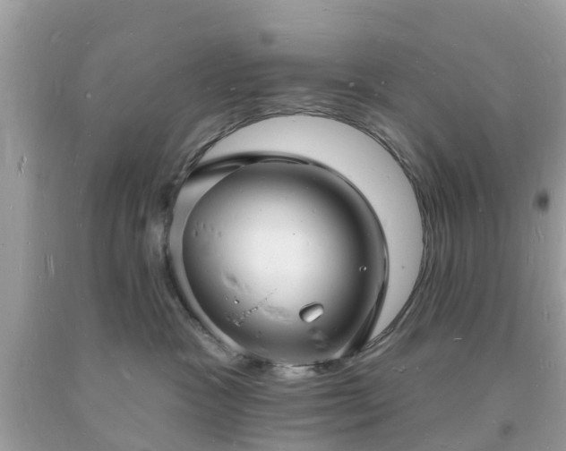 X0000093720333200710231137