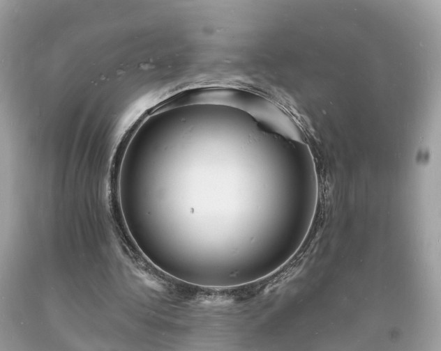 X0000093720340200710231136