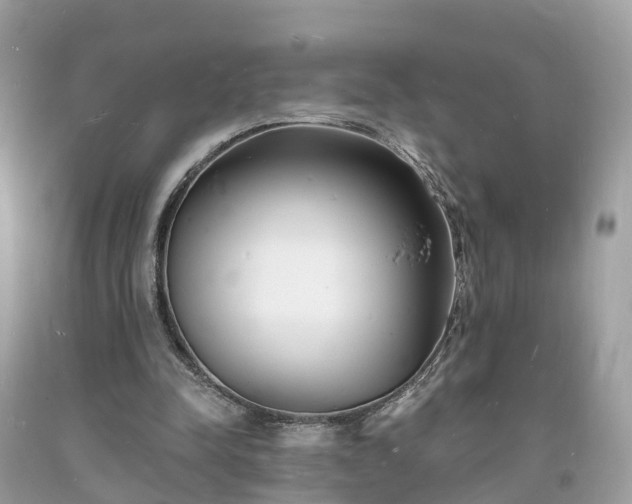 X0000093720342200710231136