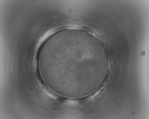 X0000093720343200710231136