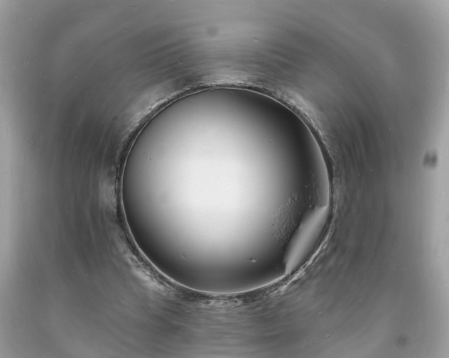 X0000093720345200710231136