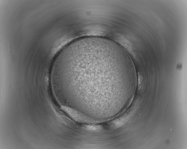 X0000093720348200710231136