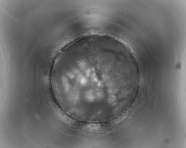 X0000093720353200710231136