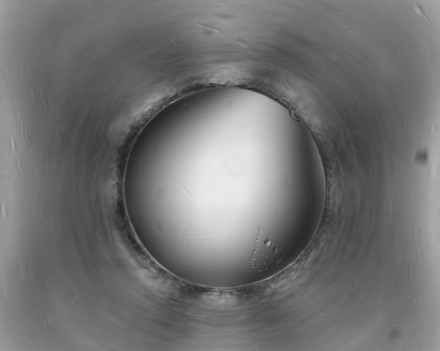 X0000093720354200710231136