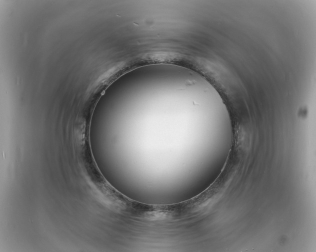 X0000093720356200710231136