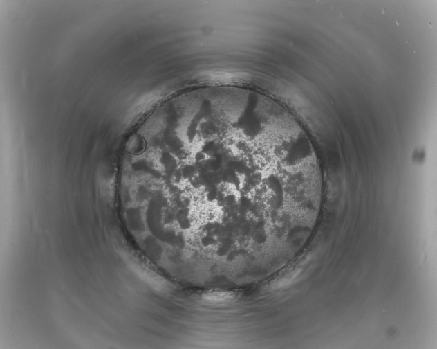 X0000093720357200710231136