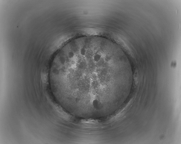 X0000093720359200710231136