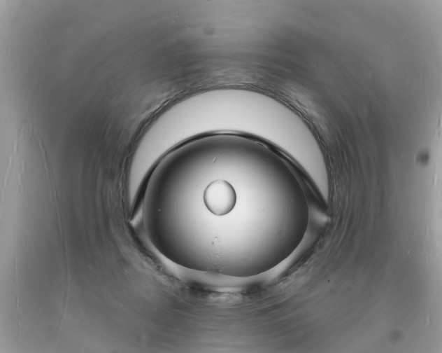 X0000093720362200710231136