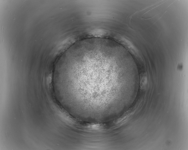 X0000093720365200710231136