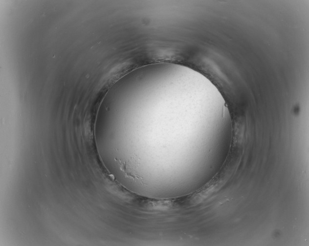 X0000093720377200710231136