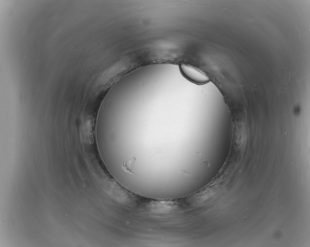 X0000093720378200710231136