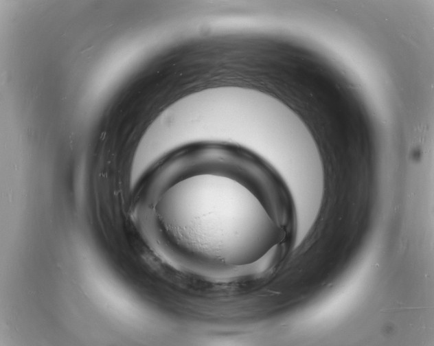 X0000093720382200710231136