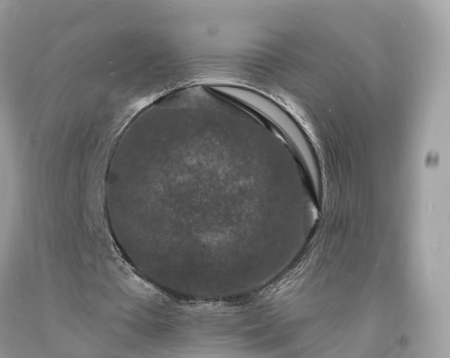 X0000093720385200710231136