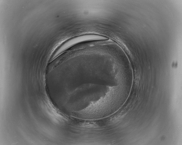 X0000093720386200710231136