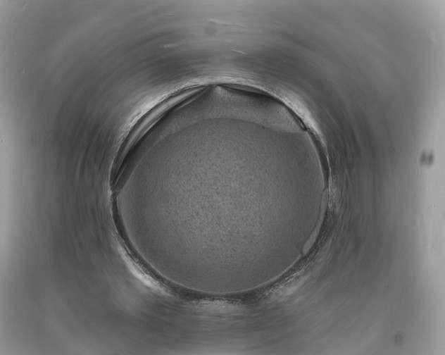 X0000093720389200710231136