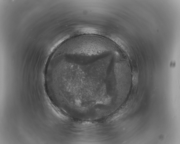 X0000093720390200710231136