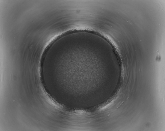 X0000093720391200710231136