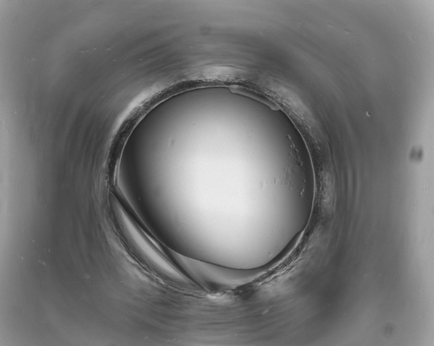 X0000093720392200710231136