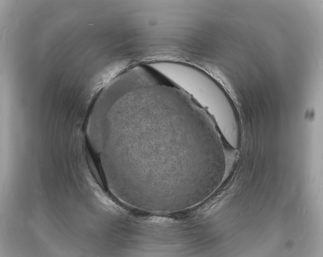 X0000093720393200710231136