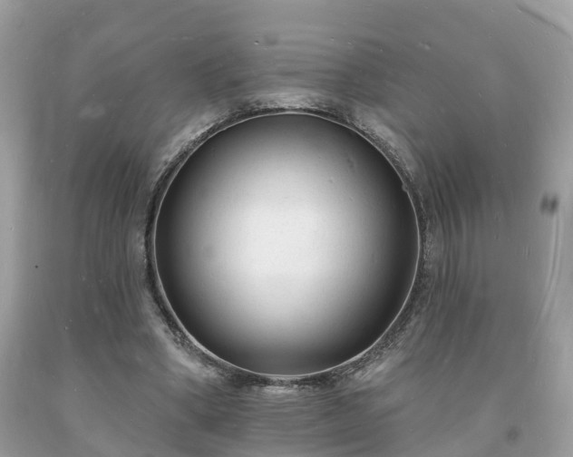 X0000093720394200710231136