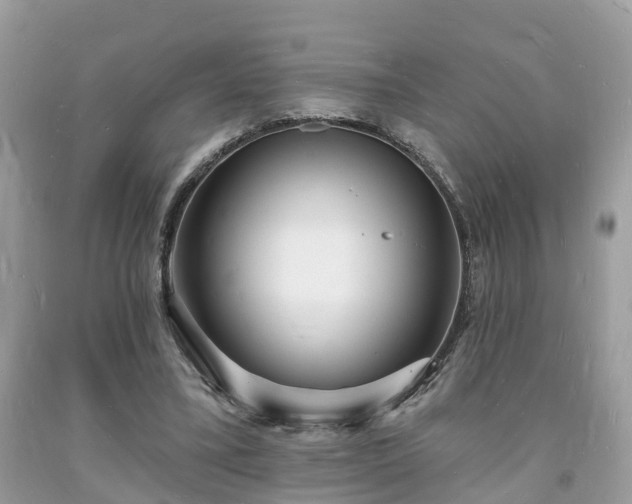 X0000093720395200710231136
