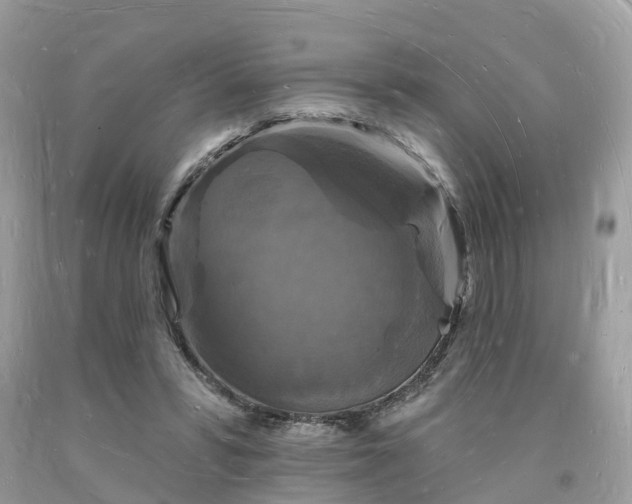 X0000093720399200710231136