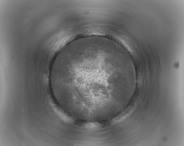 X0000093720402200710231136